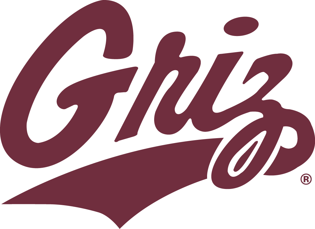 Montana Grizzlies 1996-Pres Secondary Logo diy DTF decal sticker